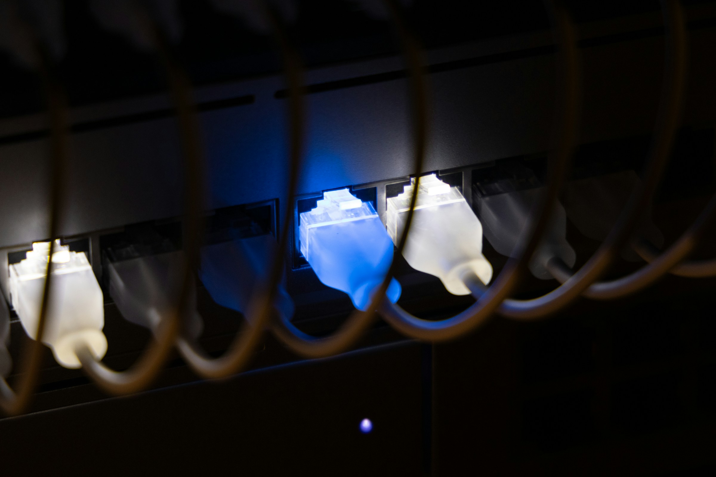 Clean NTWRKZ network cabinet installation